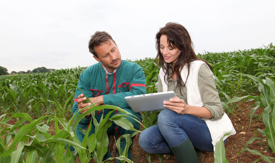 Man and a woman holding a tablet and working in agriculture